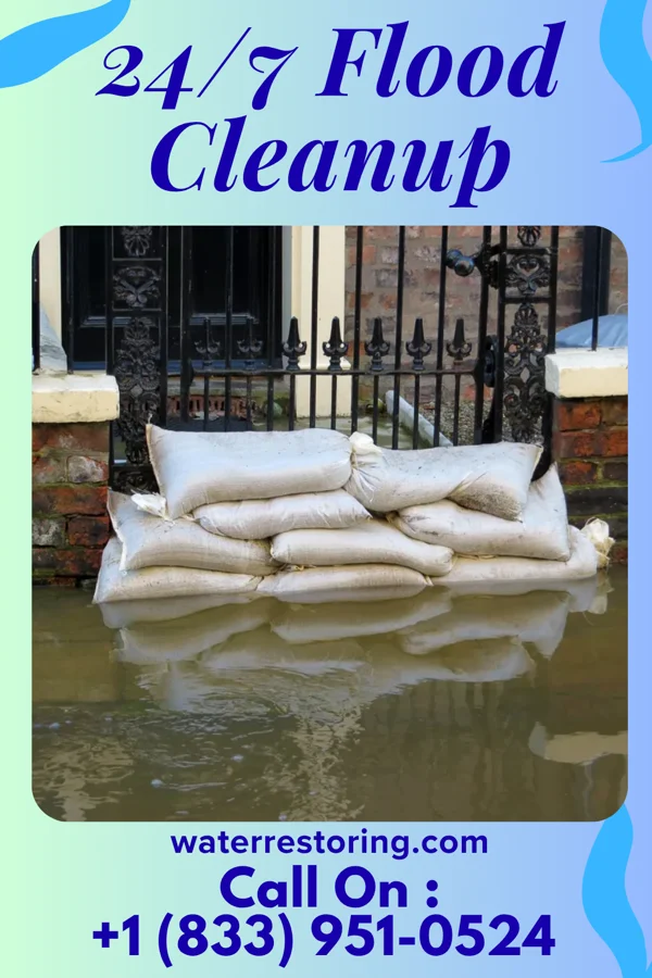 24/7 Flood Cleanup in Hemphill, TX