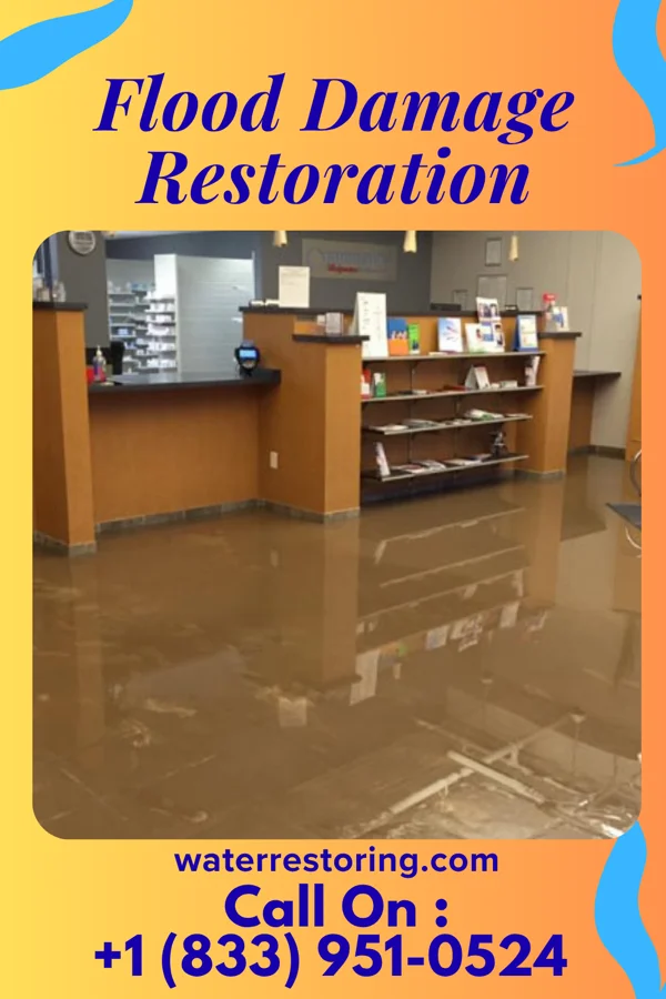 Flood Damage Restoration in Hemphill, TX