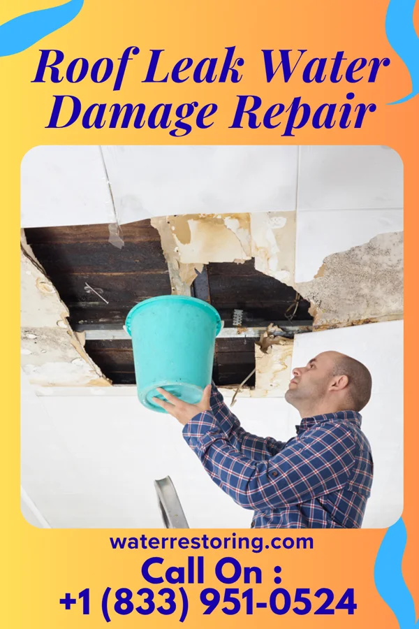 Roof Leak Water Damage Repair in Hemphill, TX