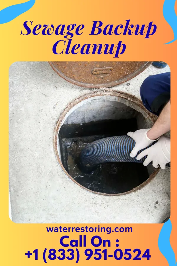 Sewage Backup Cleanup in Hemphill, TX