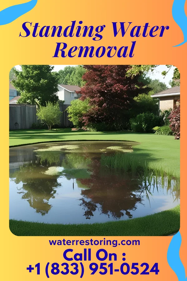 Standing Water Removal in Hemphill, TX